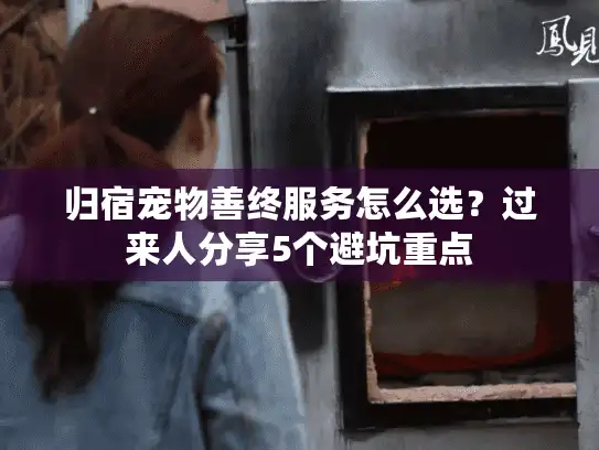 归宿宠物善终服务怎么选？过来人分享5个避坑重点