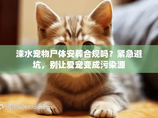 涞水宠物尸体安葬合规吗？紧急避坑，别让爱宠变成污染源