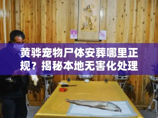 黄骅宠物尸体安葬哪里正规？揭秘本地无害化处理全流程