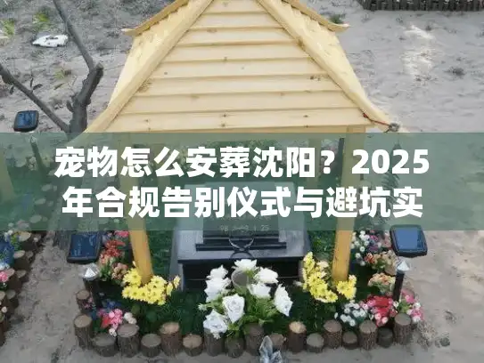 宠物怎么安葬沈阳？2025年合规告别仪式与避坑实录