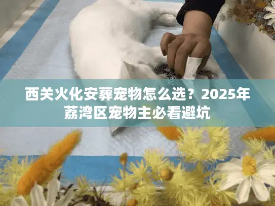 西关火化安葬宠物怎么选？2025年荔湾区宠物主必看避坑