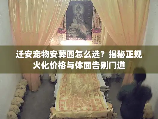 迁安宠物安葬园怎么选？揭秘正规火化价格与体面告别门道