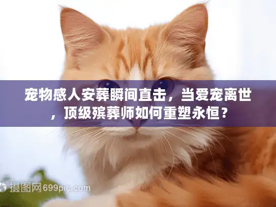 宠物感人安葬瞬间直击，当爱宠离世，顶级殡葬师如何重塑永恒？