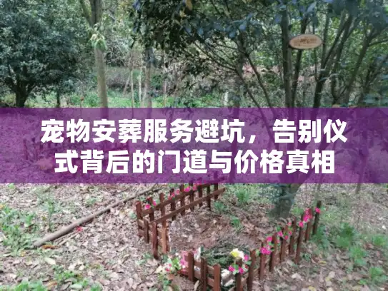 宠物安葬服务避坑，告别仪式背后的门道与价格真相