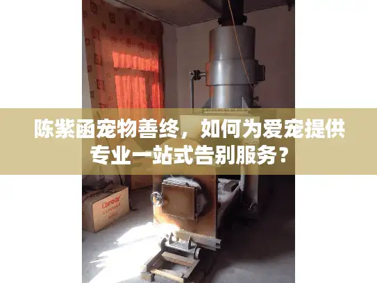 陈紫函宠物善终，如何为爱宠提供专业一站式告别服务？