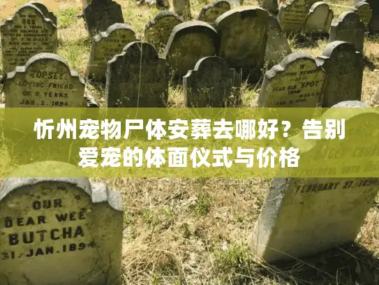 忻州宠物尸体安葬去哪好？告别爱宠的体面仪式与价格