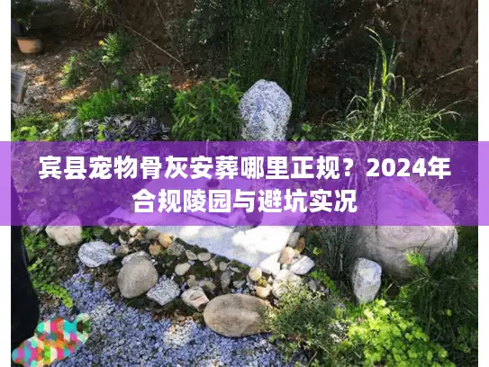 宾县宠物骨灰安葬哪里正规？2024年合规陵园与避坑实况