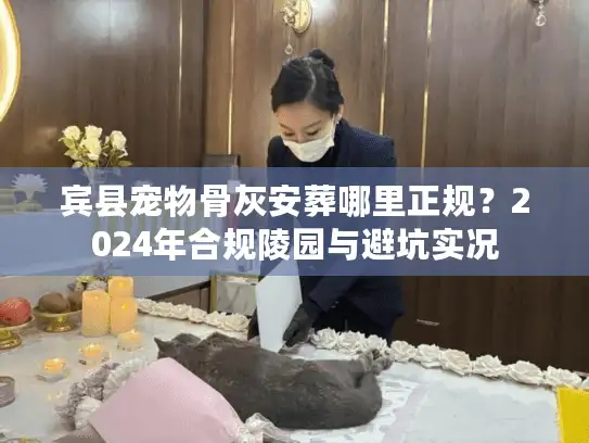 宾县宠物骨灰安葬哪里正规？2024年合规陵园与避坑实况