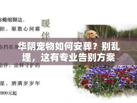 华阴宠物如何安葬？别乱埋，这有专业告别方案