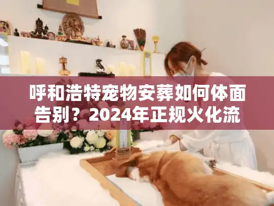 呼和浩特宠物安葬如何体面告别？2024年正规火化流程与价格避坑