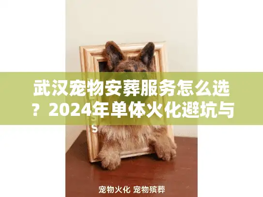 武汉宠物安葬服务怎么选？2024年单体火化避坑与收费明细