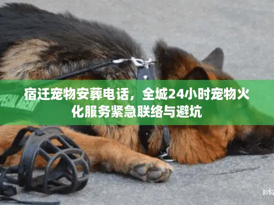 宿迁宠物安葬电话，全城24小时宠物火化服务紧急联络与避坑