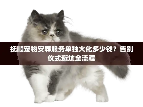 抚顺宠物安葬服务单独火化多少钱？告别仪式避坑全流程