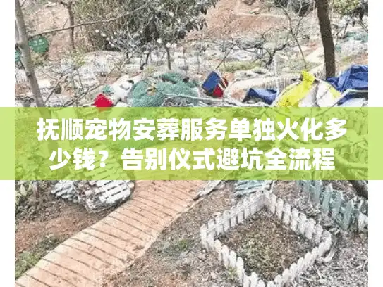 抚顺宠物安葬服务单独火化多少钱？告别仪式避坑全流程