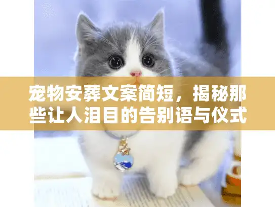 宠物安葬文案简短，揭秘那些让人泪目的告别语与仪式感