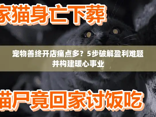 宠物善终开店痛点多？5步破解盈利难题并构建暖心事业