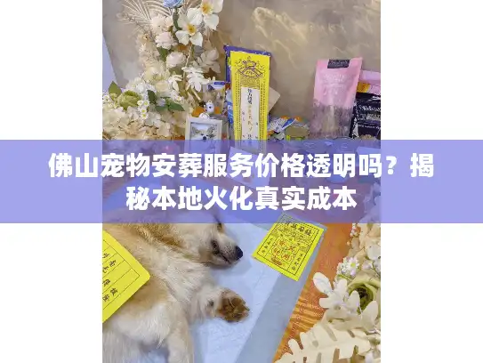 佛山宠物安葬服务价格透明吗？揭秘本地火化真实成本