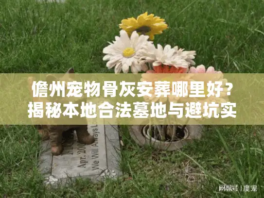 儋州宠物骨灰安葬哪里好？揭秘本地合法墓地与避坑实录