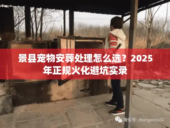 景县宠物安葬处理怎么选？2025年正规火化避坑实录