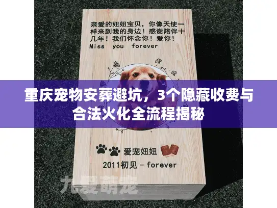 重庆宠物安葬避坑，3个隐藏收费与合法火化全流程揭秘