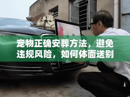 宠物正确安葬方法，避免违规风险，如何体面送别爱宠？