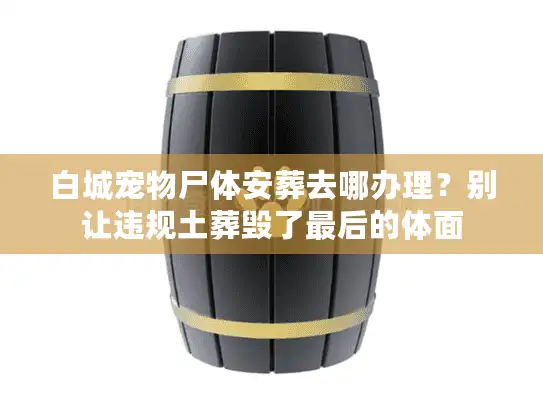 白城宠物尸体安葬去哪办理？别让违规土葬毁了最后的体面