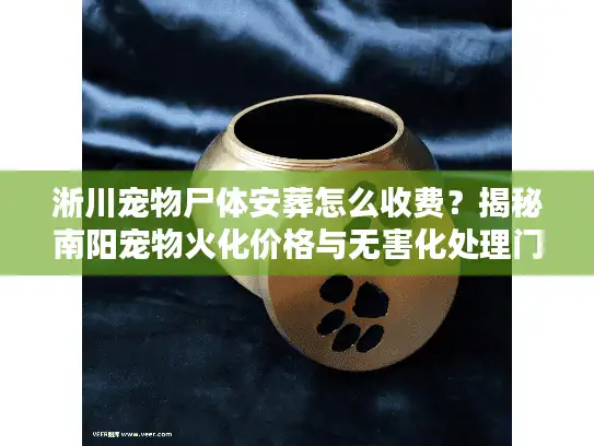 淅川宠物尸体安葬怎么收费？揭秘南阳宠物火化价格与无害化处理门道