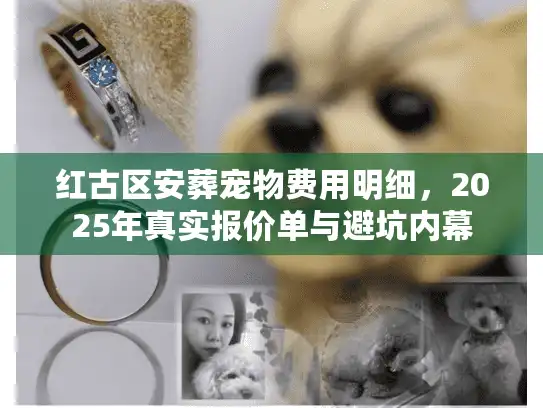 红古区安葬宠物费用明细，2025年真实报价单与避坑内幕