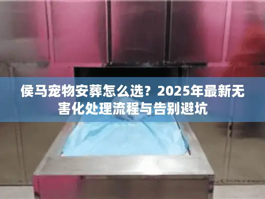 侯马宠物安葬怎么选？2025年最新无害化处理流程与告别避坑