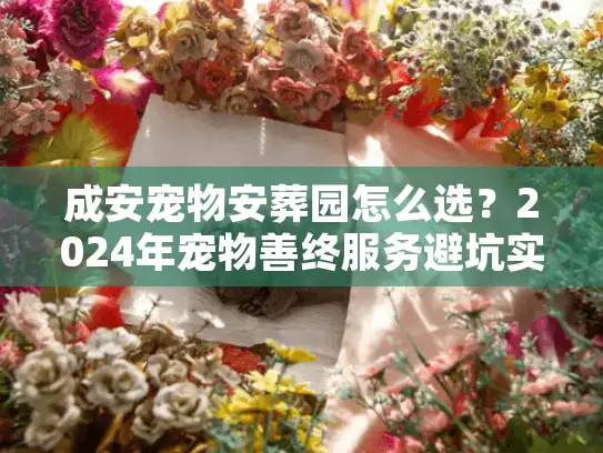 成安宠物安葬园怎么选？2024年宠物善终服务避坑实录