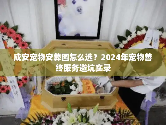 成安宠物安葬园怎么选？2024年宠物善终服务避坑实录