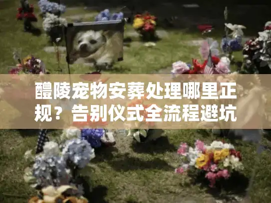 醴陵宠物安葬处理哪里正规？告别仪式全流程避坑
