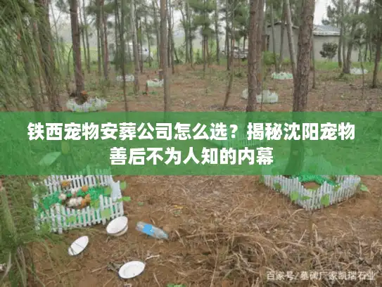 铁西宠物安葬公司怎么选？揭秘沈阳宠物善后不为人知的内幕