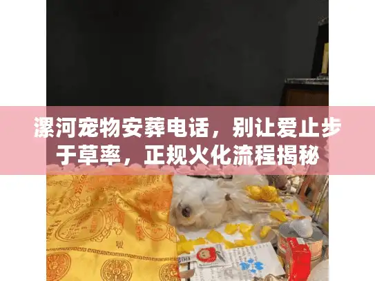 漯河宠物安葬电话，别让爱止步于草率，正规火化流程揭秘