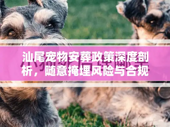 汕尾宠物安葬政策深度剖析，随意掩埋风险与合规告别方案
