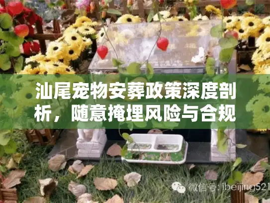汕尾宠物安葬政策深度剖析，随意掩埋风险与合规告别方案