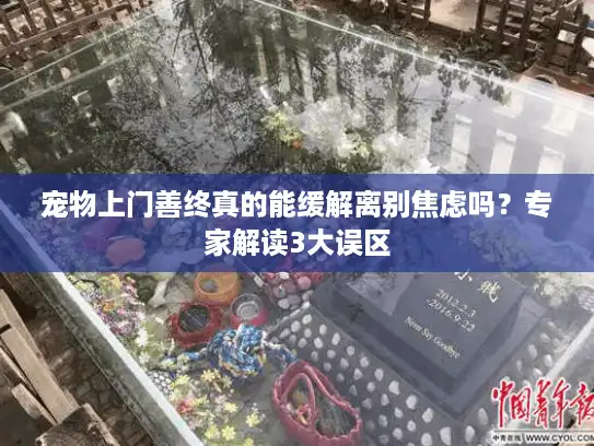 宠物上门善终真的能缓解离别焦虑吗？专家解读3大误区