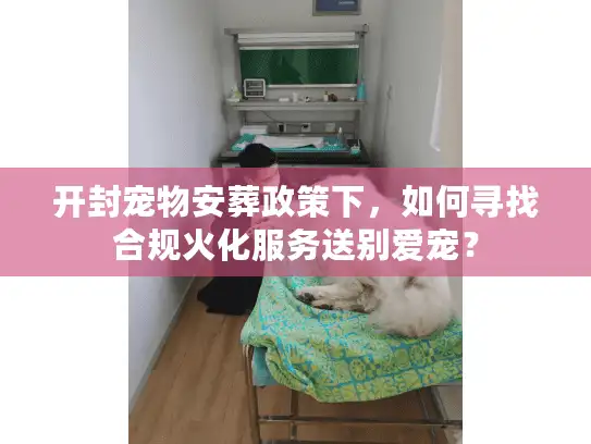 开封宠物安葬政策下，如何寻找合规火化服务送别爱宠？