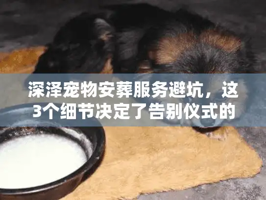 深泽宠物安葬服务避坑，这3个细节决定了告别仪式的体面