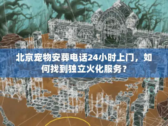 北京宠物安葬电话24小时上门，如何找到独立火化服务？