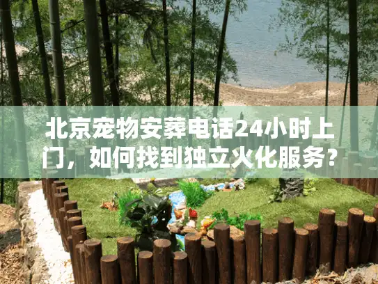 北京宠物安葬电话24小时上门，如何找到独立火化服务？