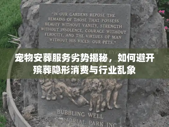 宠物安葬服务劣势揭秘，如何避开殡葬隐形消费与行业乱象