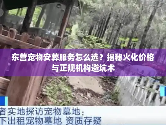 东营宠物安葬服务怎么选？揭秘火化价格与正规机构避坑术