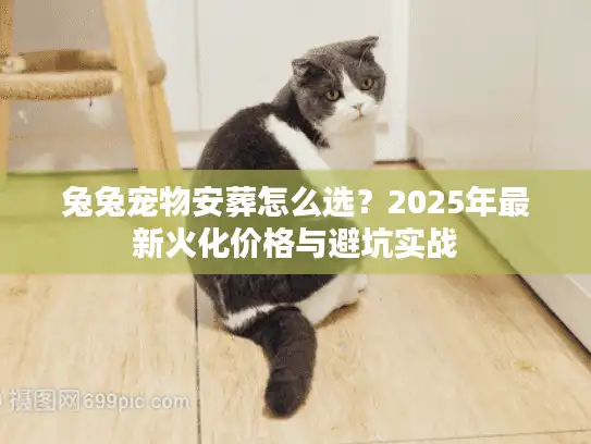 兔兔宠物安葬怎么选？2025年最新火化价格与避坑实战