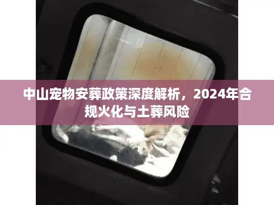 中山宠物安葬政策深度解析，2024年合规火化与土葬风险