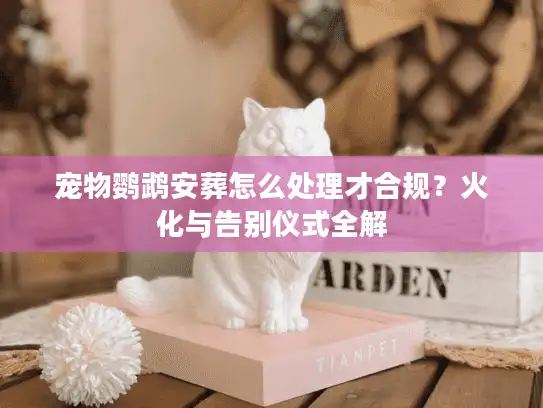 宠物鹦鹉安葬怎么处理才合规？火化与告别仪式全解