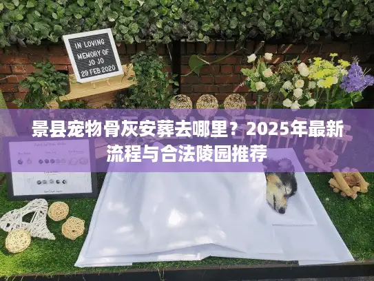景县宠物骨灰安葬去哪里？2025年最新流程与合法陵园推荐