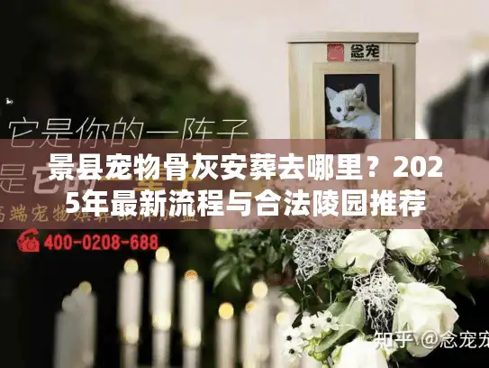 景县宠物骨灰安葬去哪里？2025年最新流程与合法陵园推荐