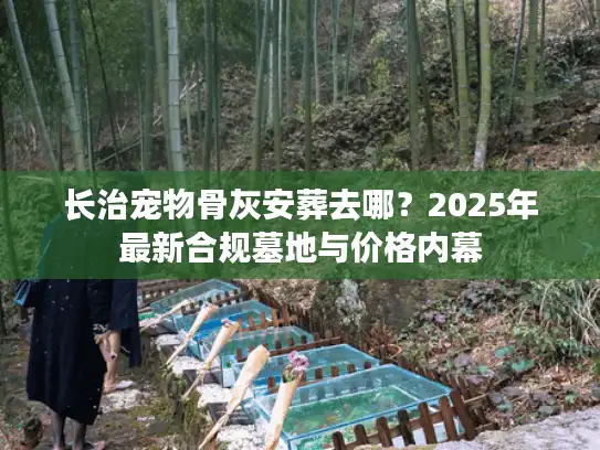 长治宠物骨灰安葬去哪？2025年最新合规墓地与价格内幕
