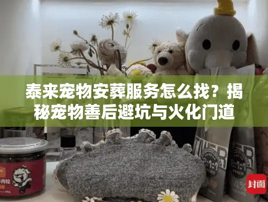 泰来宠物安葬服务怎么找？揭秘宠物善后避坑与火化门道